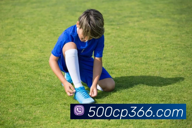 500彩票网官方服务体系
