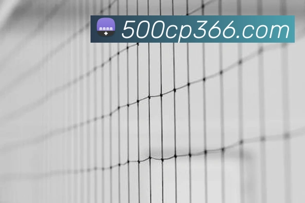 500彩票网官方APP 体育赛事宣传图